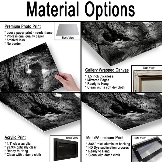 Buffalo Wall Art: Rustic Wildlife Photography - Ready to Hang