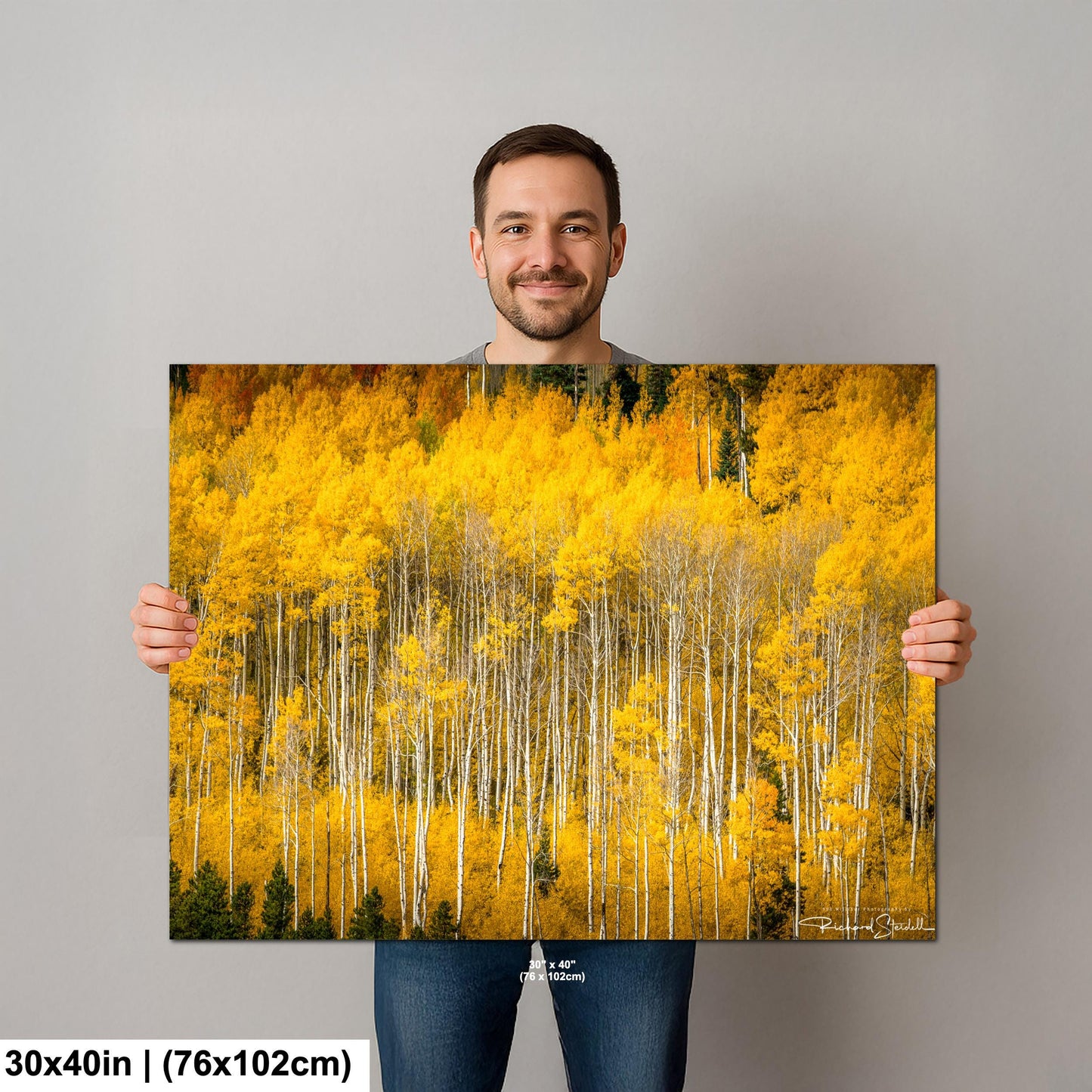Colorado Aspen Tree Print - Rustic Autumn Mountain Wall Art With Golden Leaves
