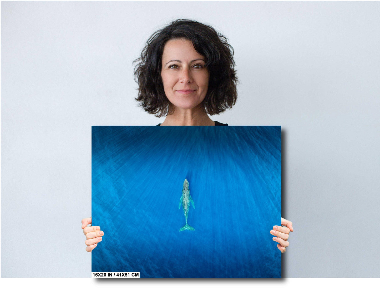 Humpback Whale Art Print – Ocean Wall Decor | Ready To Hang Canvas & Metal