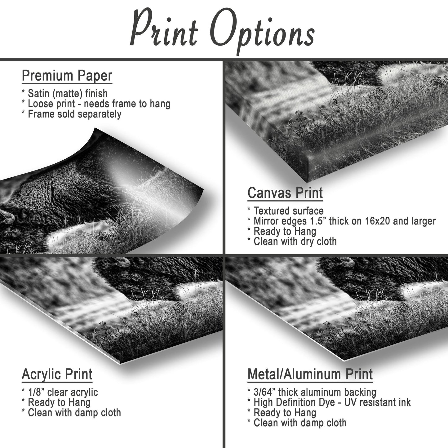 Buffalo Canvas Art – Bison Wall Decor | Wildlife Photography Print | Rustic Lodge Decoration