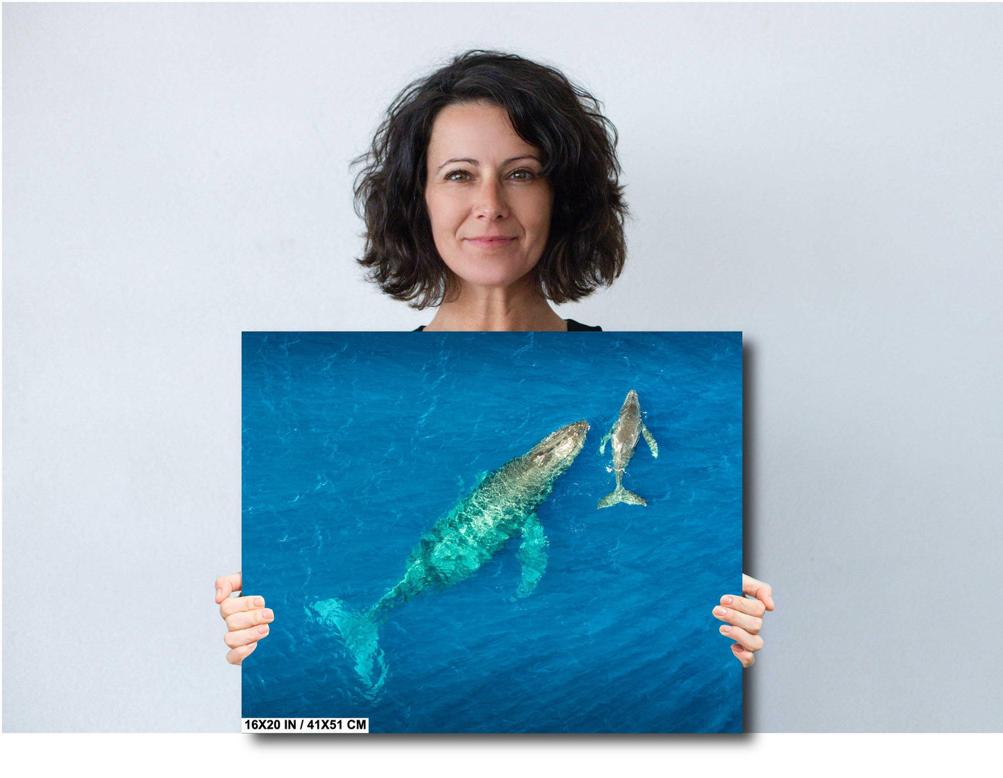 Humpback Whale Wall Art – Ocean Wall Decor | Marine Nursery Art & Coastal Home