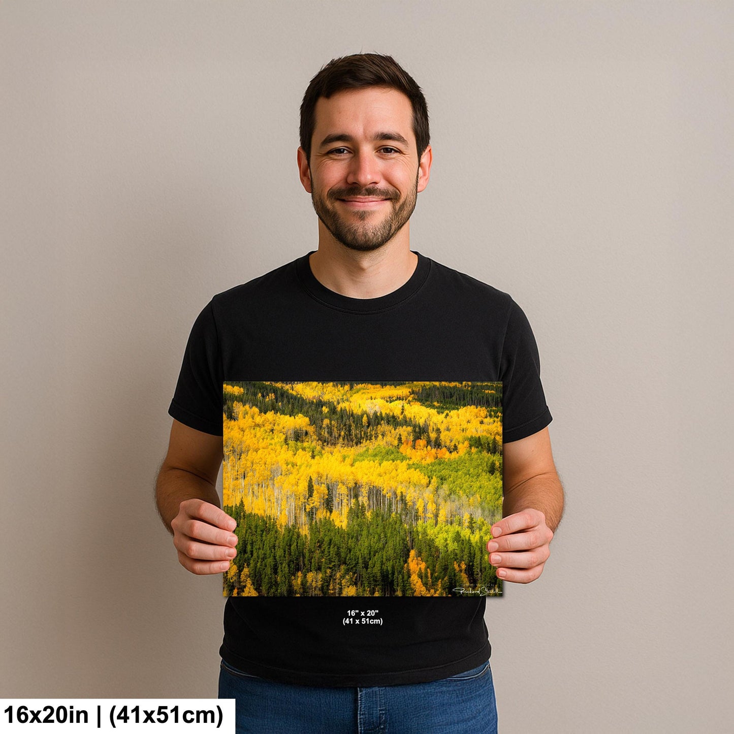 Colorado Aspen Tree Print - Rustic Autumn Mountain Wall Art With Golden Leaves