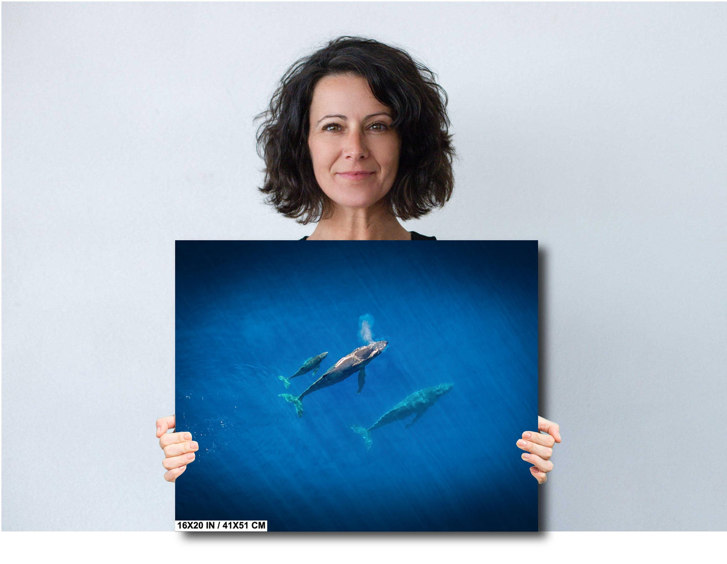 Humpback Whale Wall Art – Marine Canvas Print | Baby Whale Nursery Art Decor