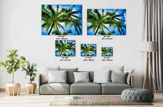 Tropical Wall Decor | Coastal Home Decor - Maui Palm Tree Art Canvas Print