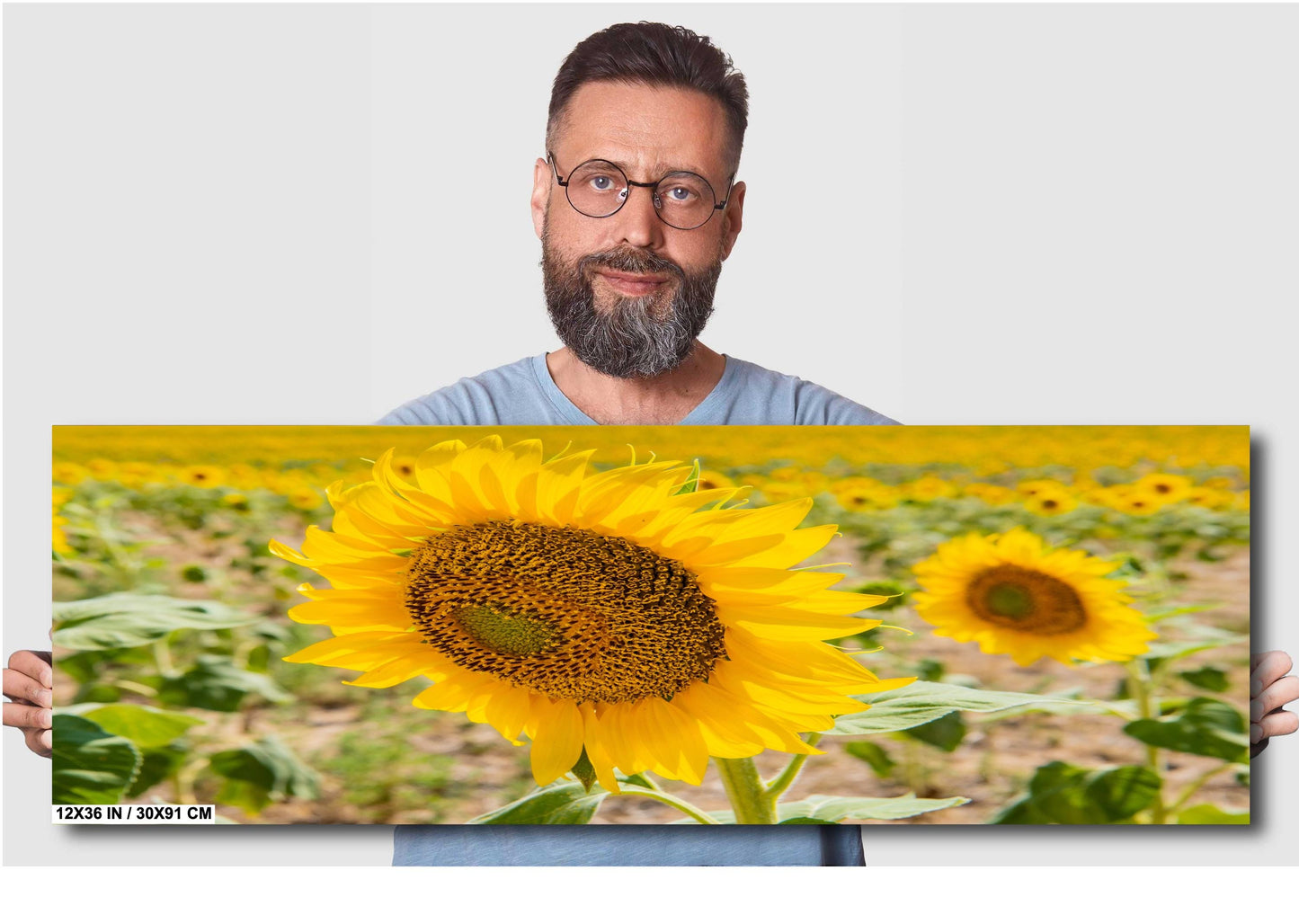 Sunflowers Photography Print - Vibrant Floral Wall Art | Acrylic, Canvas & Metal