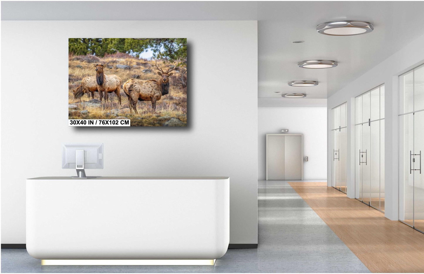 Elk Wall Art - Rocky Mountain Decor | Wildlife Print | Nature Home Decor