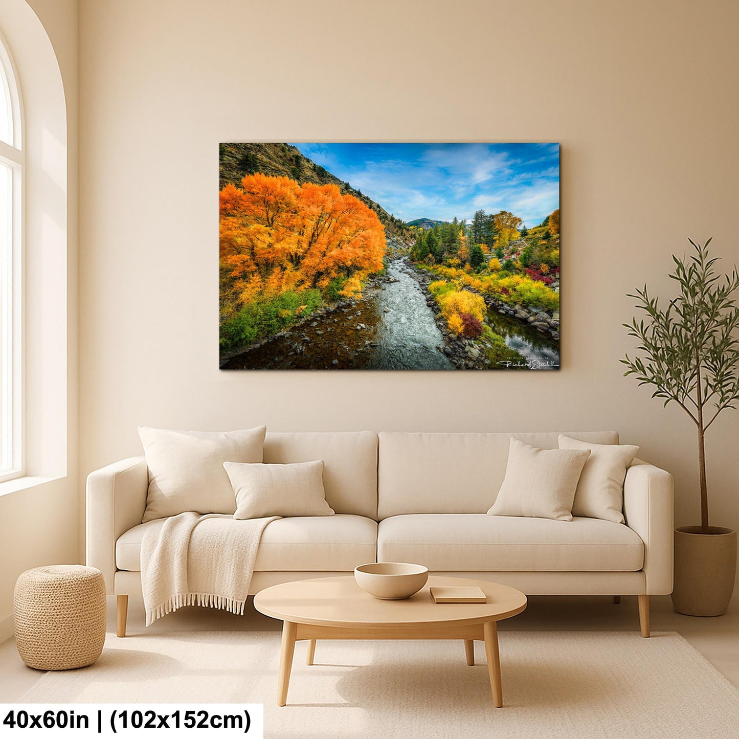Colorado Mountain Landscape Print: Colorado Autumn Trees (Canvas or Metal)