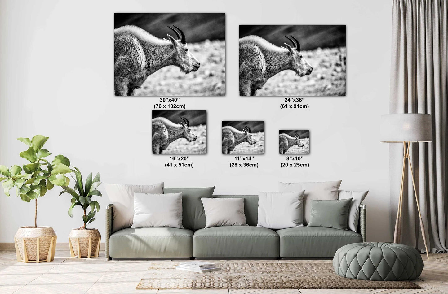 Mountain Goat Wall Art – Rustic Wildlife Photography Print | Black & White Decor
