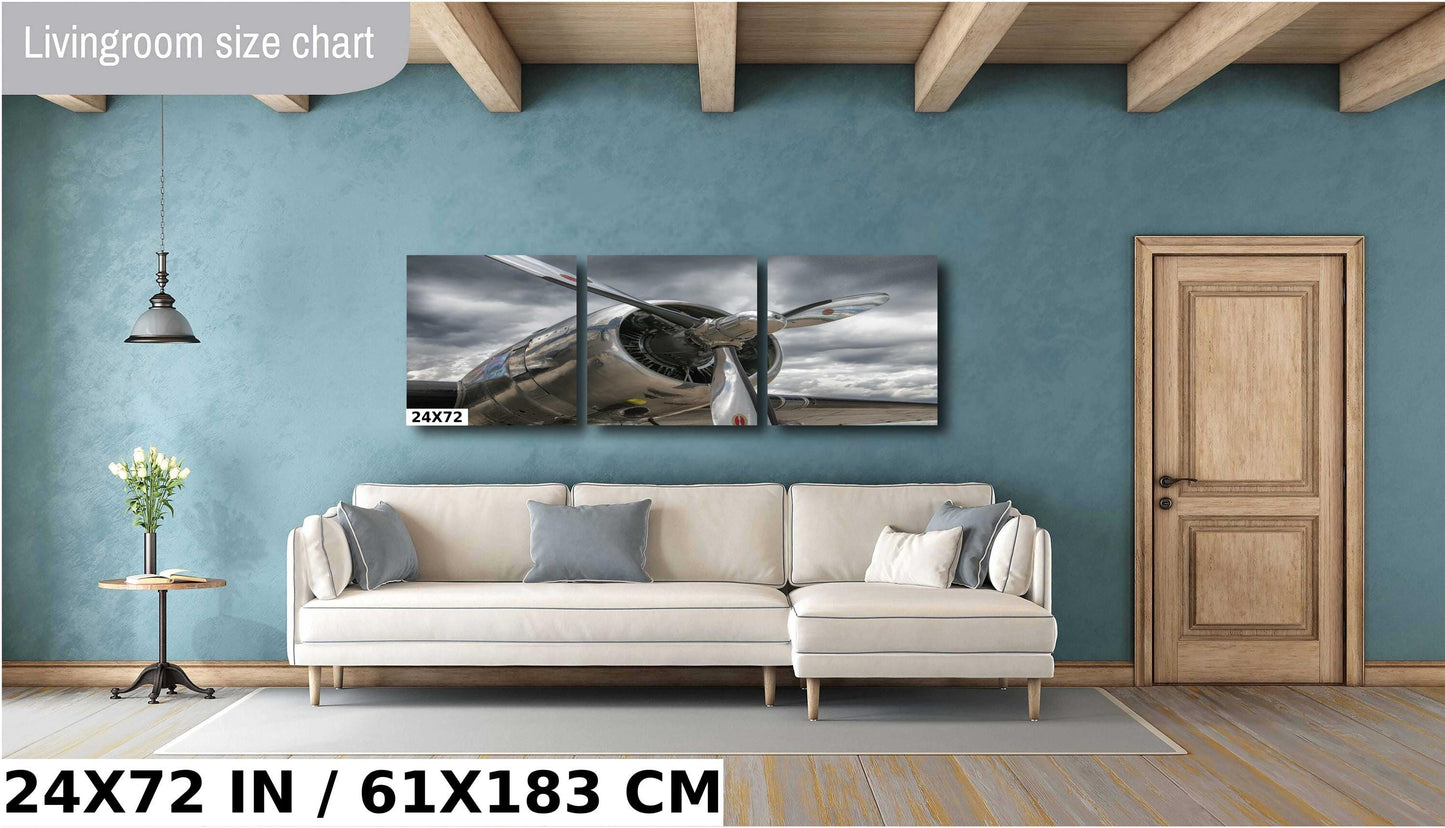 DC3 Plane Wall Art - Vintage Airplane Decor | Ready to Hang Canvas Print