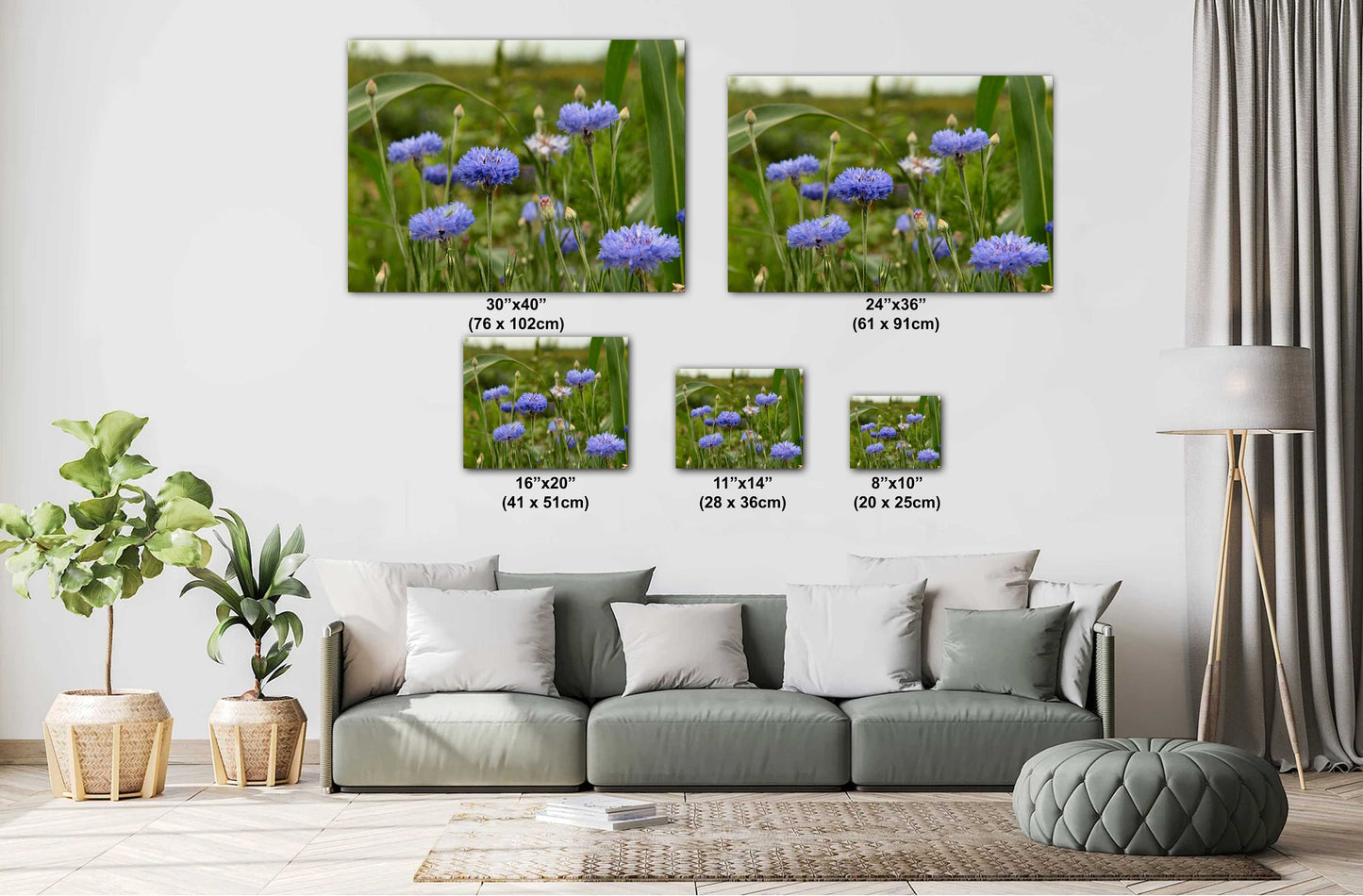 Colorado Wildflower Photo - Vivid Color Photograph | Ready to Hang Canvas & Metal Print