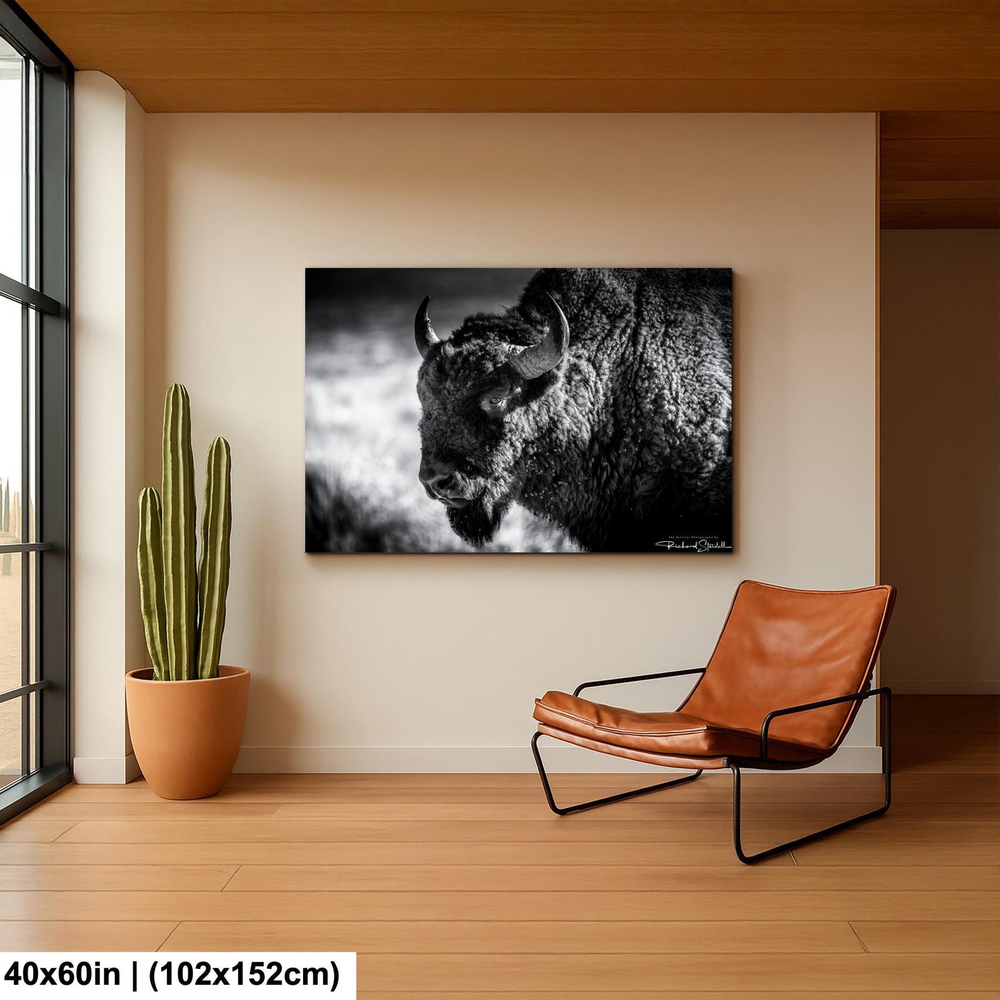 Buffalo Wall Art: Rustic Wildlife Photography - Ready to Hang
