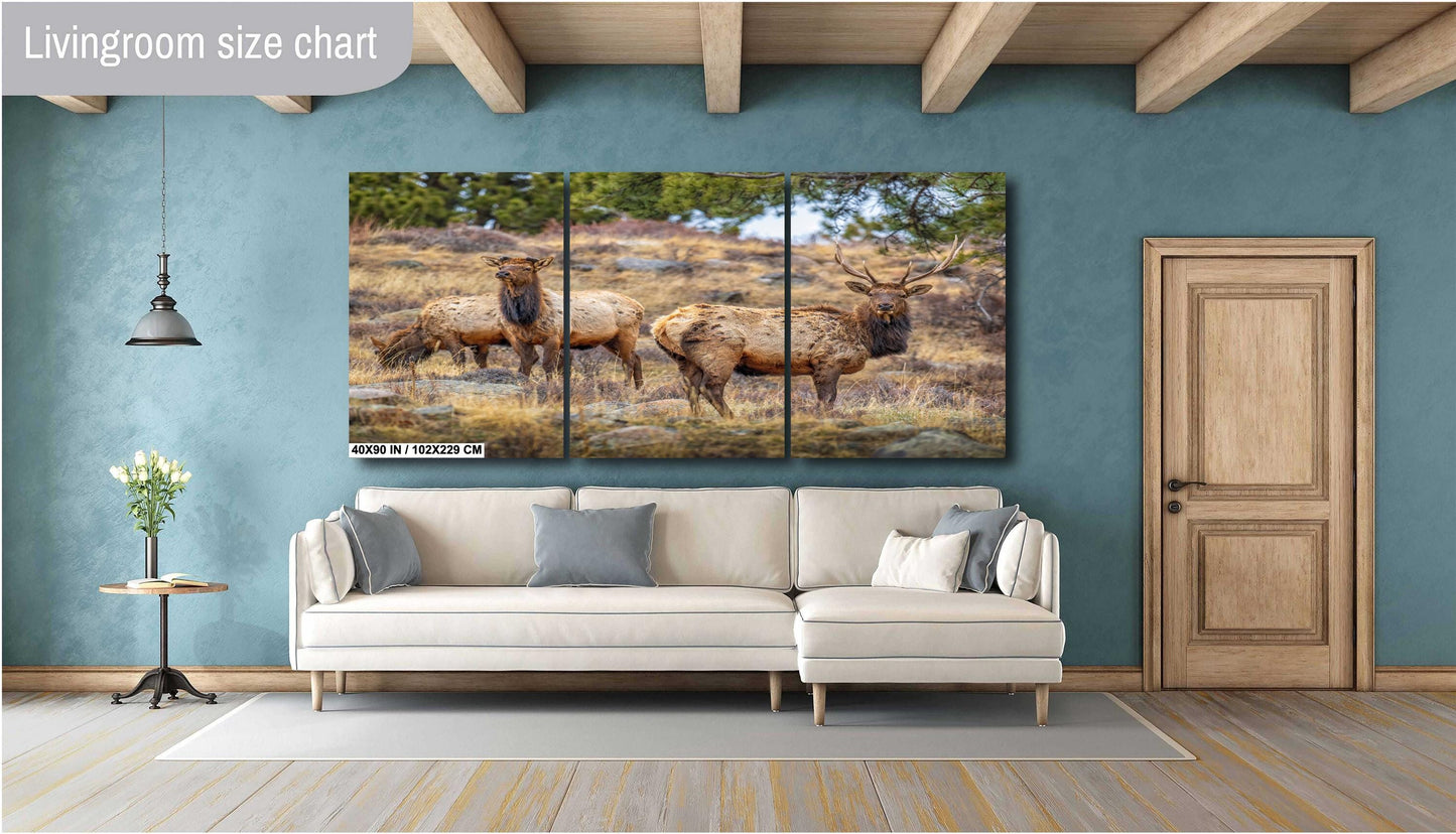 Elk Wall Art - Rocky Mountain Decor | Wildlife Print | Nature Home Decor