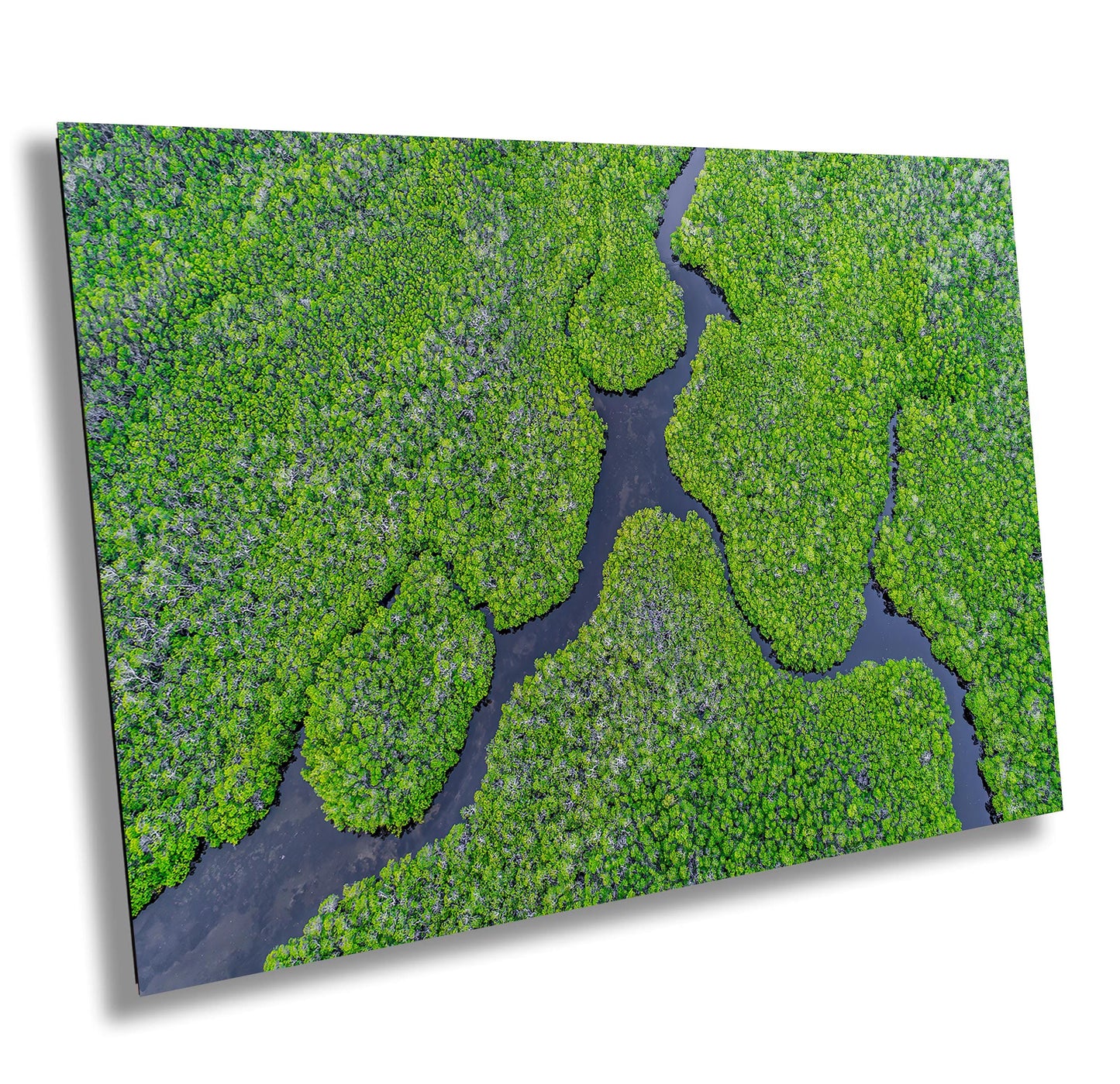 Aerial Mangrove Wall Art - Nature Photography Canvas | Eco-Friendly Tropical Décor
