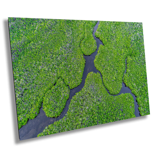 Aerial Mangrove Wall Art - Nature Photography Canvas | Eco-Friendly Tropical Décor