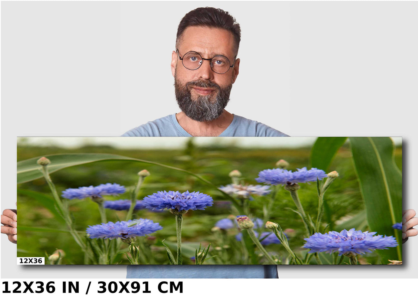 Colorado Wildflower Photo - Vivid Color Photograph | Ready to Hang Canvas & Metal Print