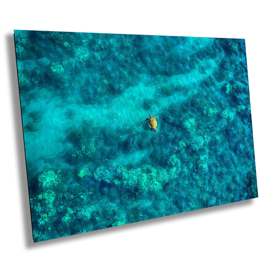 Sea Turtle Wall Art - Aerial Ocean Photography Print | Tropical Underwater Decor