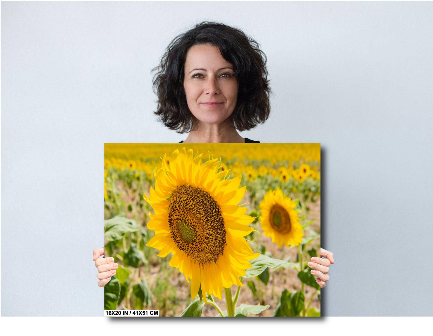 Sunflowers Photography Print - Vibrant Floral Wall Art | Acrylic, Canvas & Metal