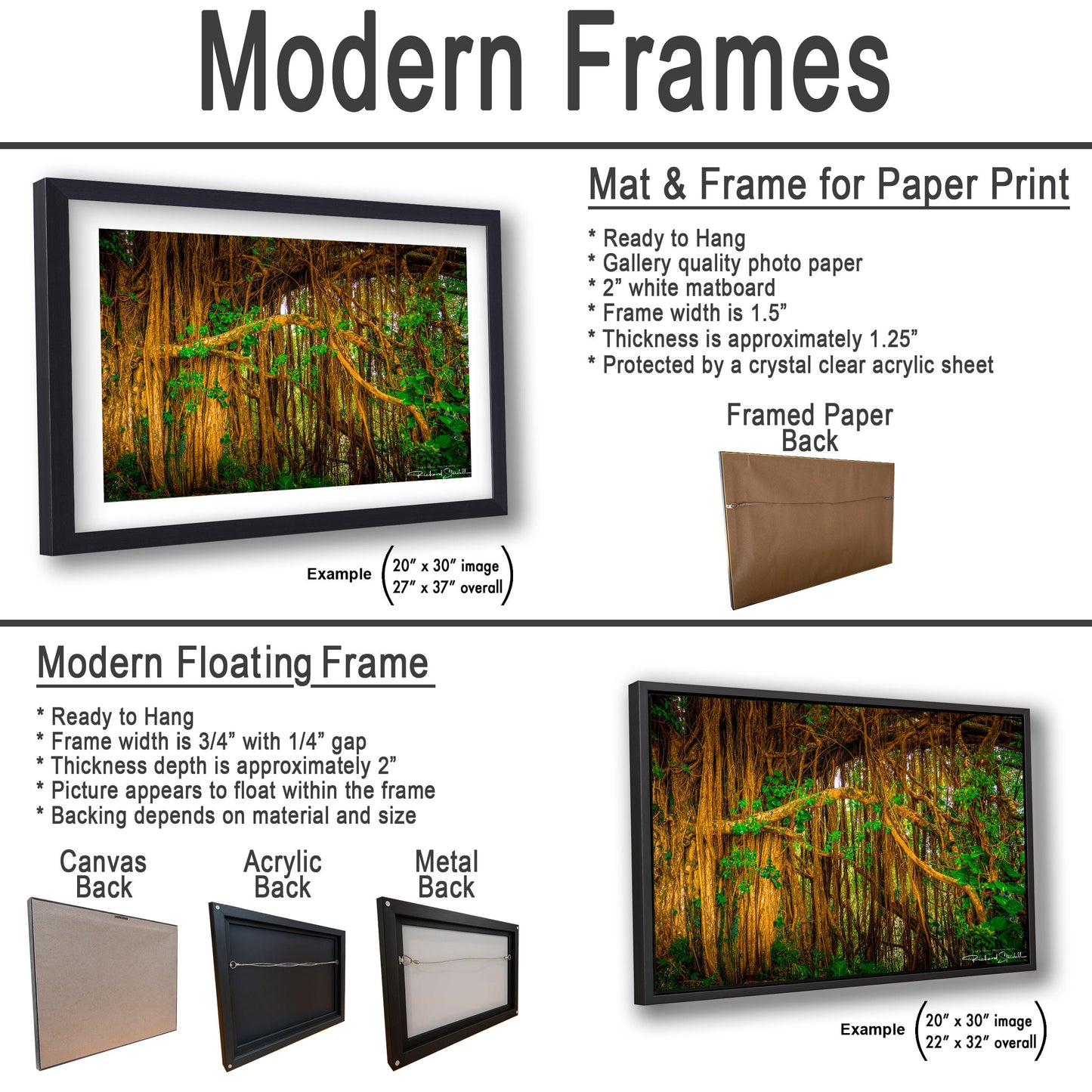 Tropical Maui Wall Art -Tree Forest Photo Print