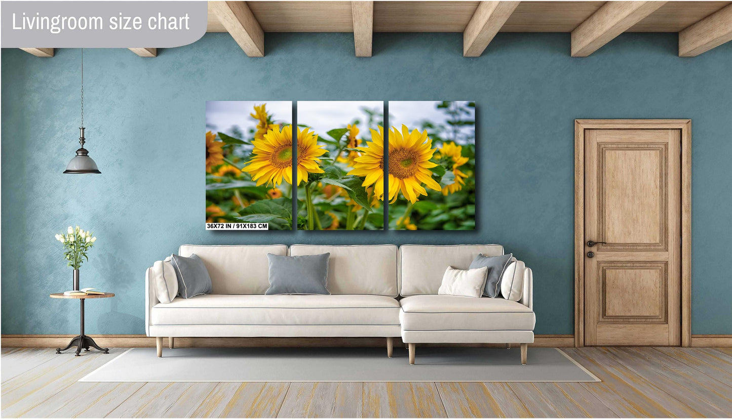 Sunflower Field Wall Art - Vibrant Yellow Sunflower Canvas Print | Rustic Farm Landscape
