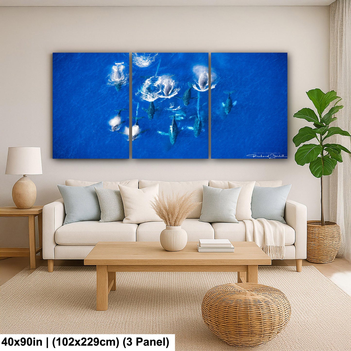 Humpback Whale Wall Art – Ocean Animal Print | Ready To Hang Canvas & Metal