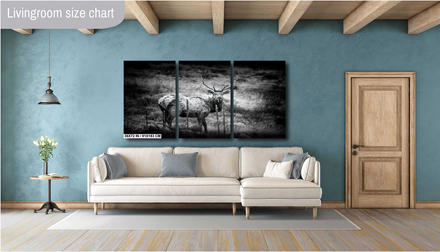 Elk Wall Art - Rocky Mountain Decor | Wildlife Wall Decor for Nature Lovers