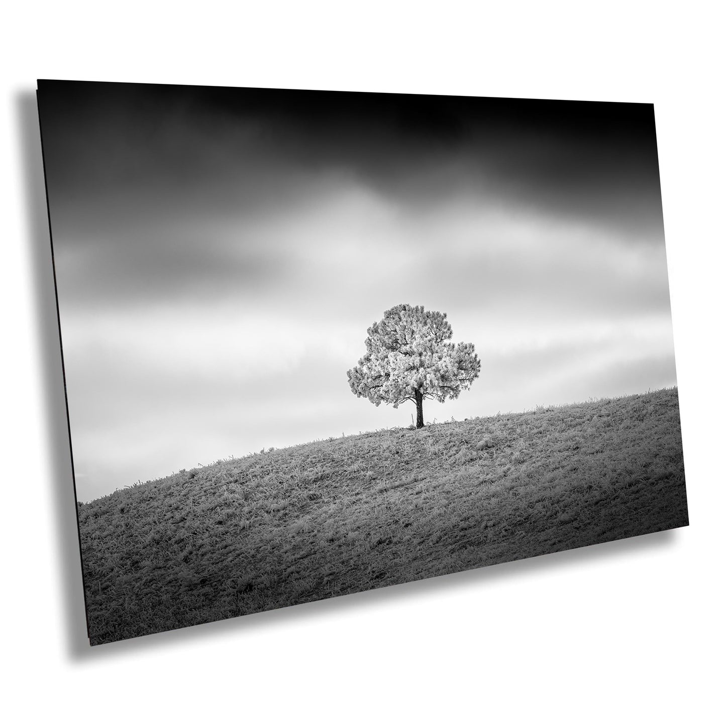 Black and White Photo Print – Minimalist Wall Art on Canvas, Metal & Acrylic Decor