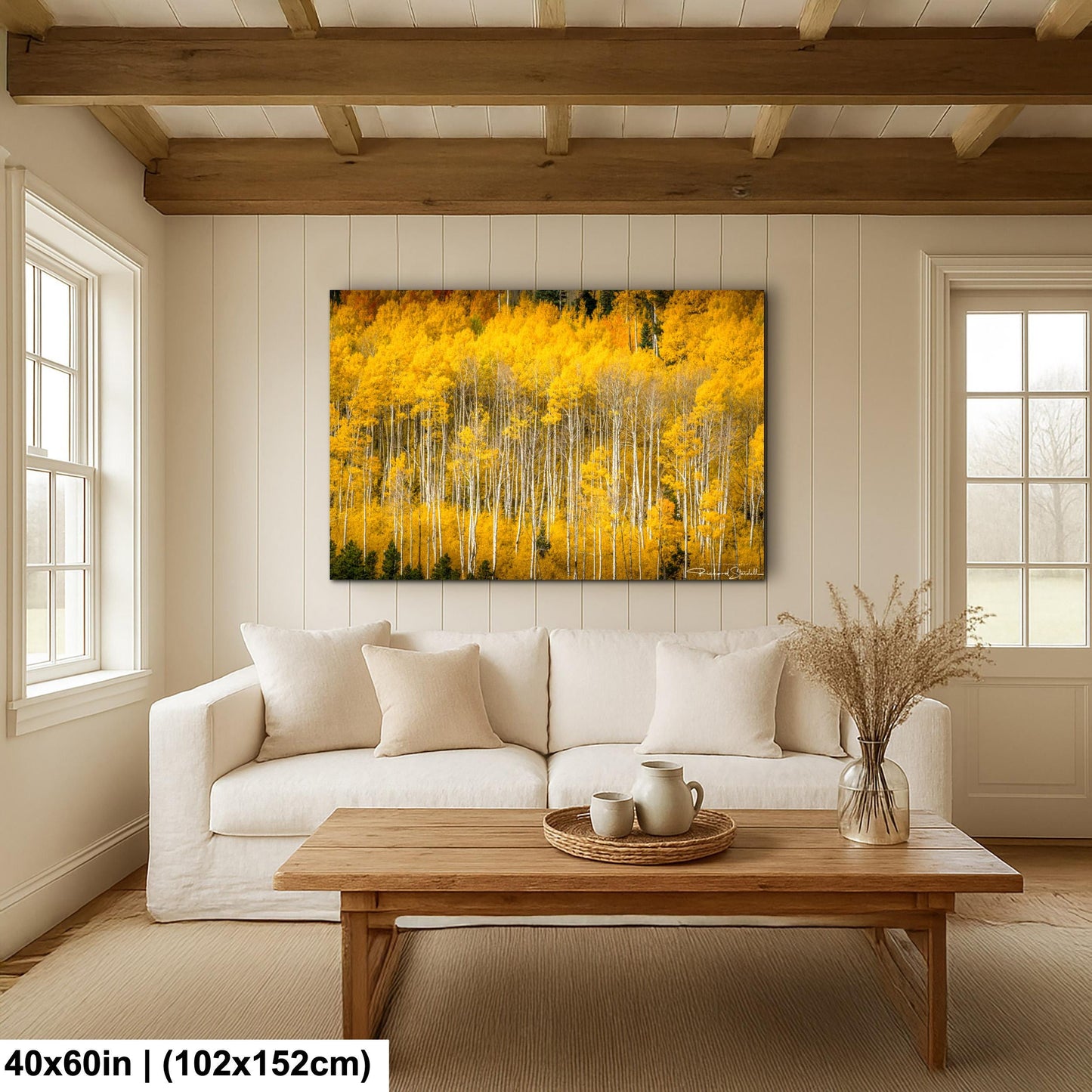 Colorado Aspen Tree Print - Rustic Autumn Mountain Wall Art With Golden Leaves