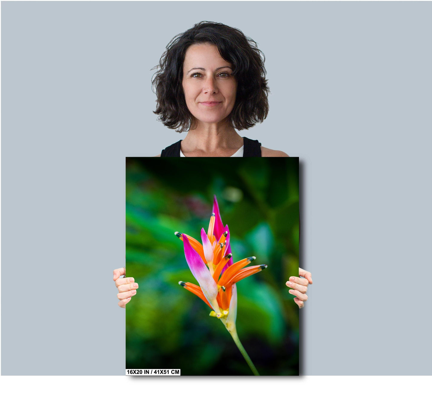 Heliconia Flower Wall Art - Tropical Flower Art | Vibrant Acrylic Prints