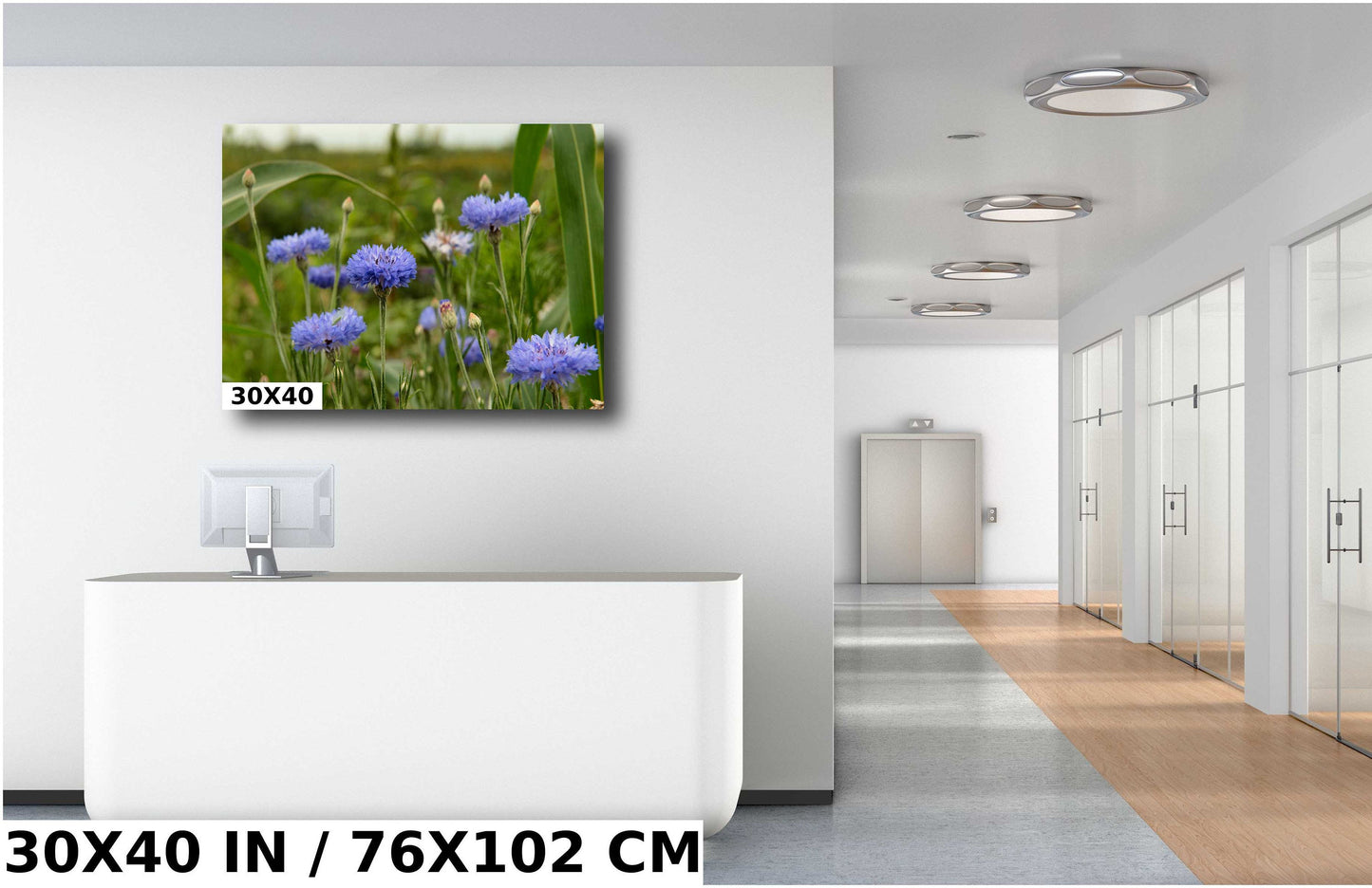 Colorado Wildflower Photo - Vivid Color Photograph | Ready to Hang Canvas & Metal Print