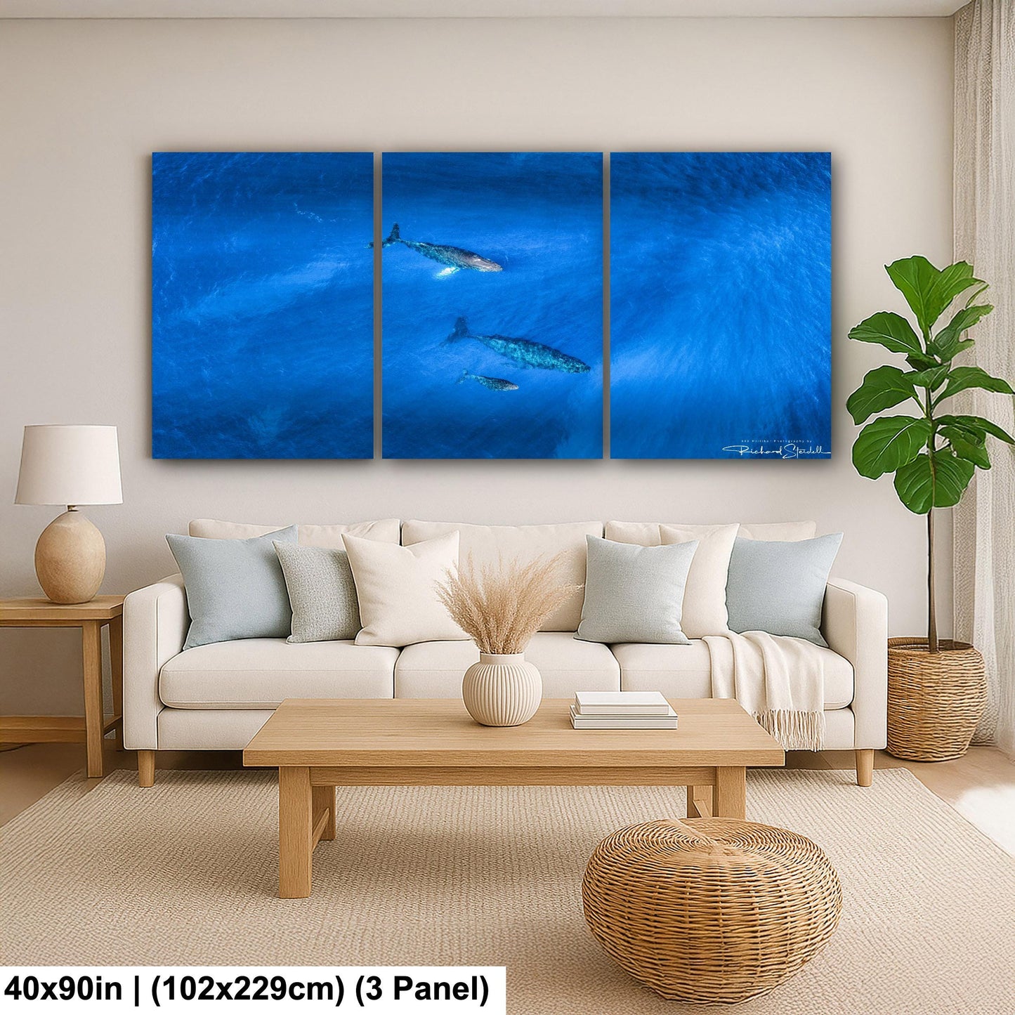 Humpback Whale Wall Art, Ocean Animal Print (Canvas, Metal, or Acrylic)