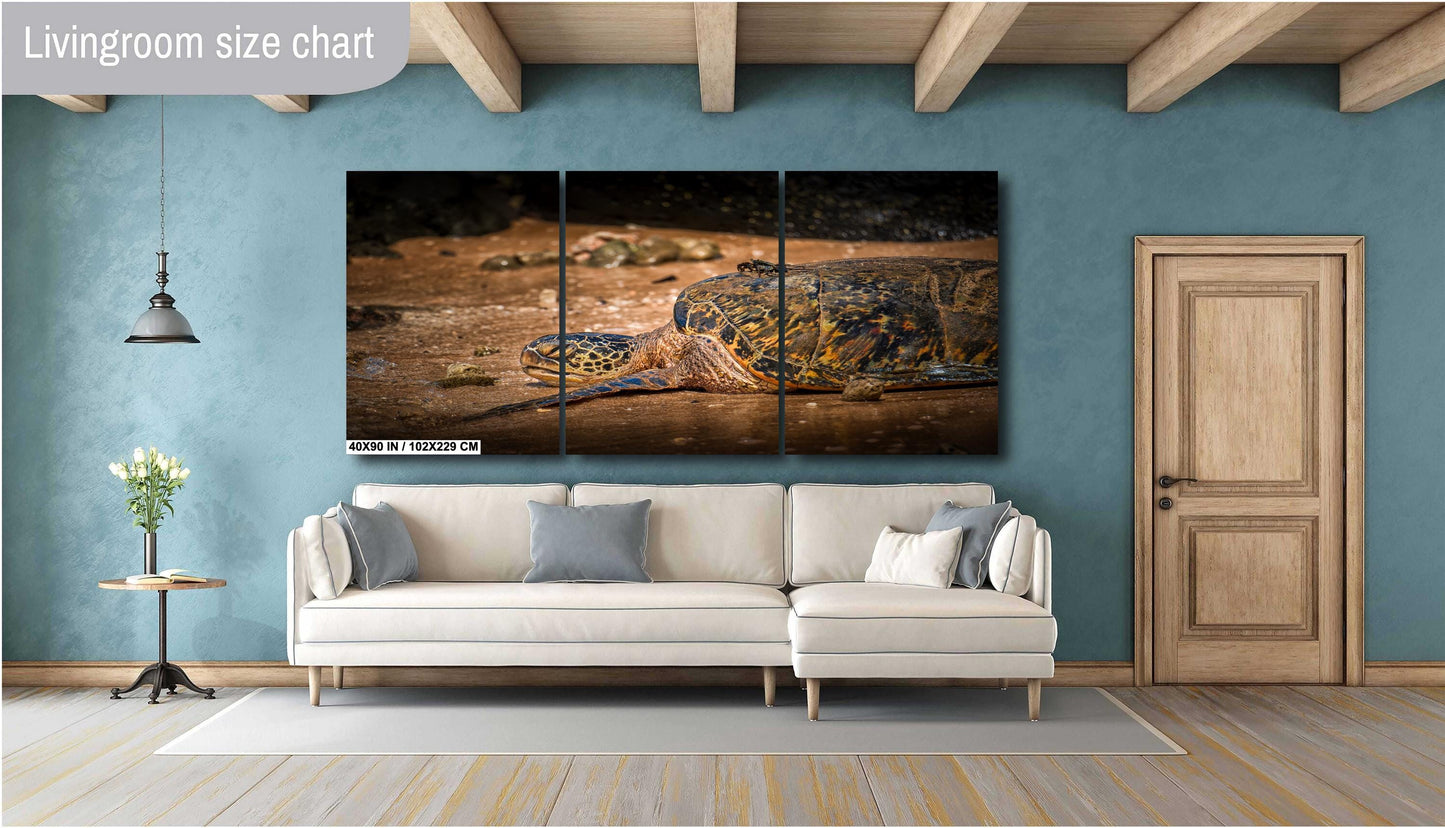 Sea Turtle Wall Art - Ocean Photography Print | Tropical Marine Life Artwork