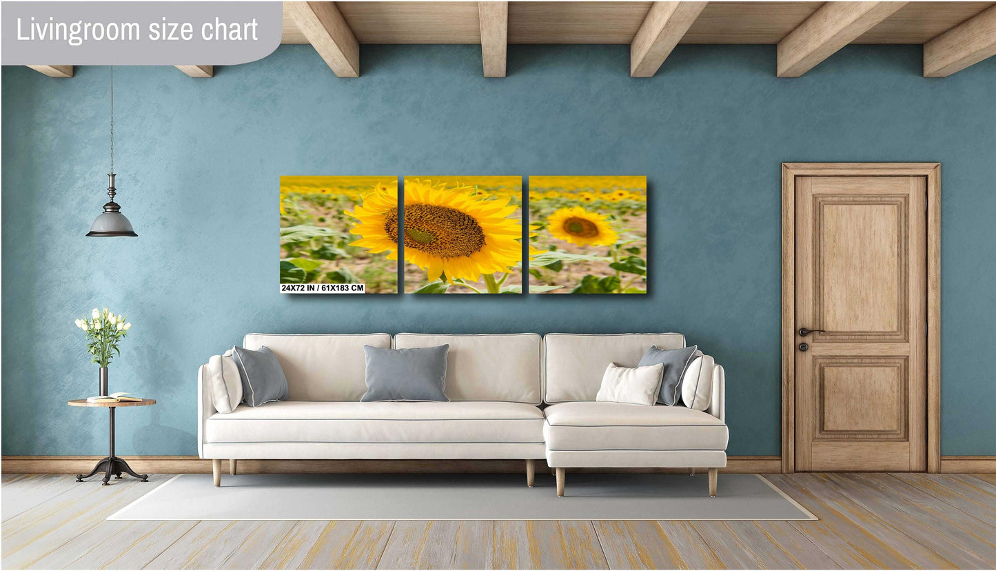 Sunflowers Photography Print - Vibrant Floral Wall Art | Acrylic, Canvas & Metal
