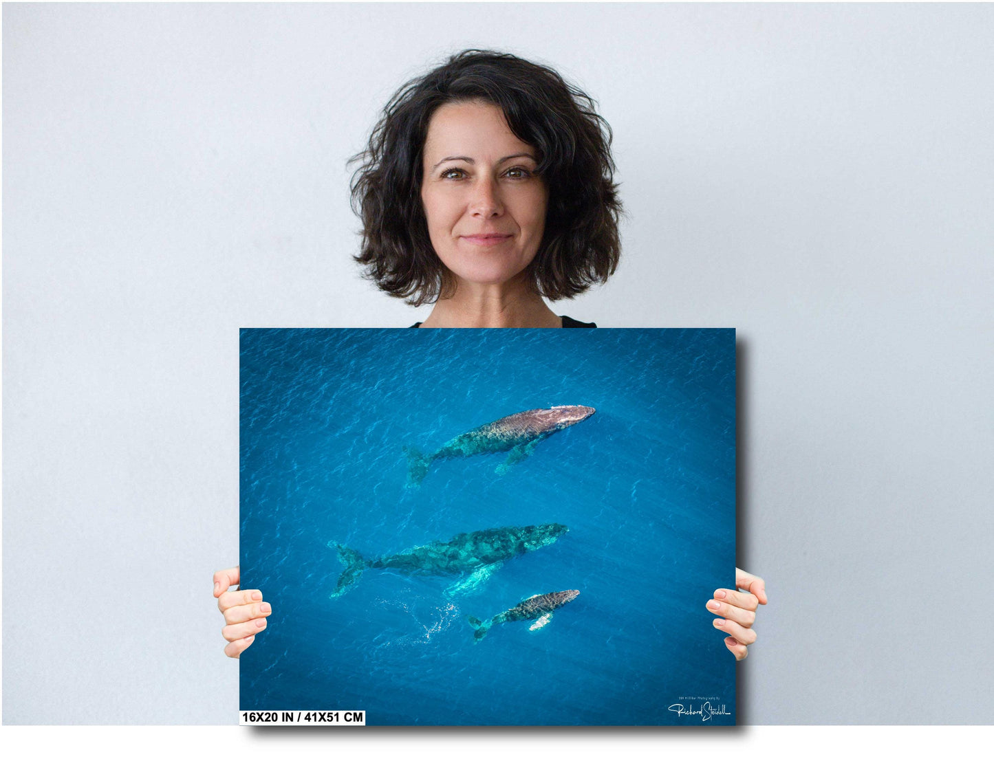 Humpback Whale Wall Art – Marine Home Decoration | Vibrant Ocean Canvas Print