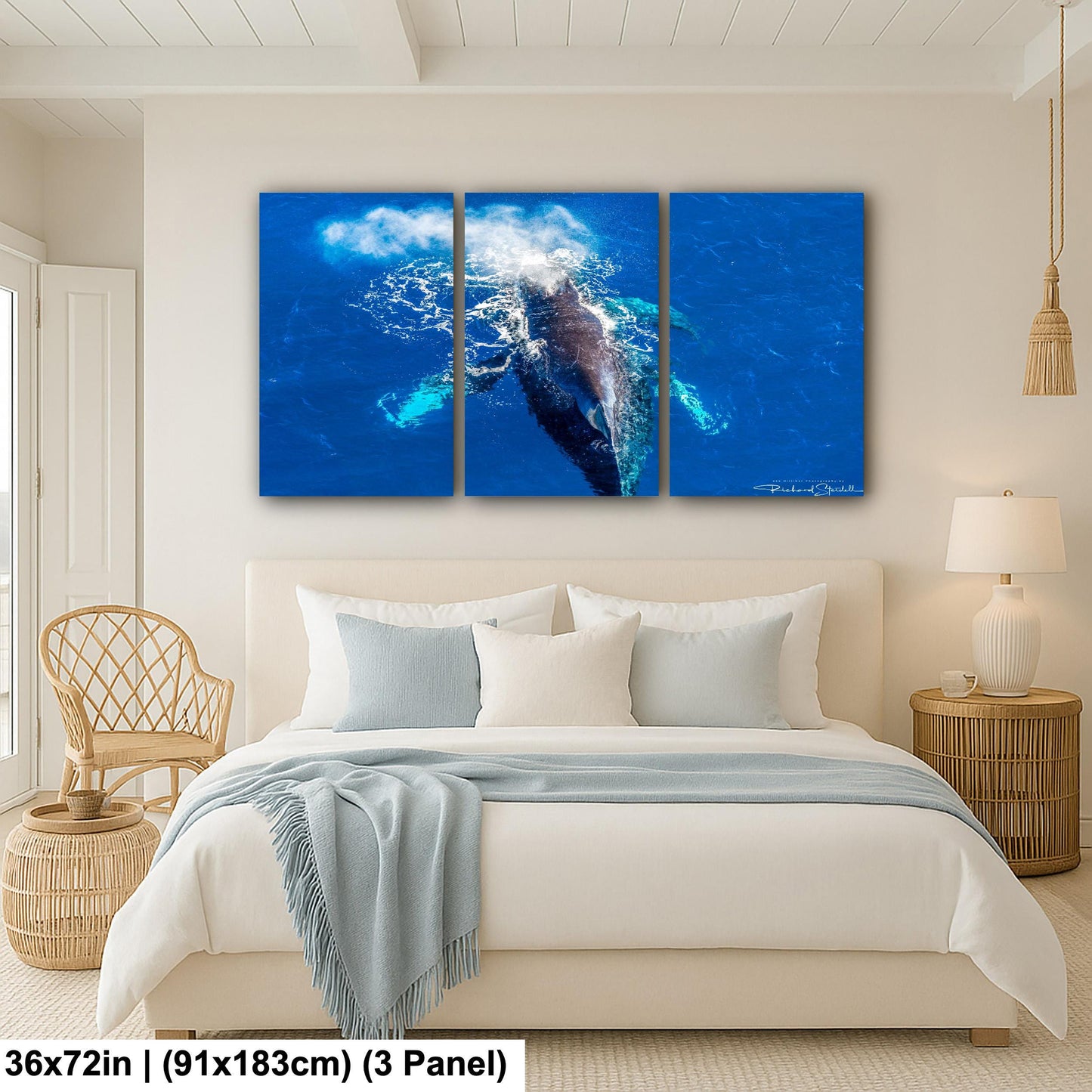 Humpback Whale Wall Art - Ocean Photo Print for Home