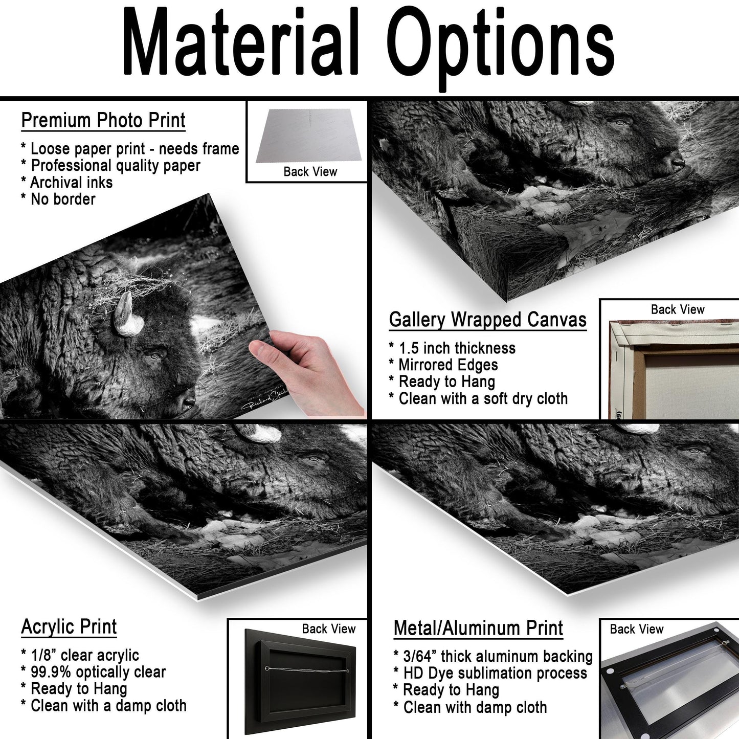 Buffalo Wall Art: Rustic Wildlife Photography - Ready to Hang