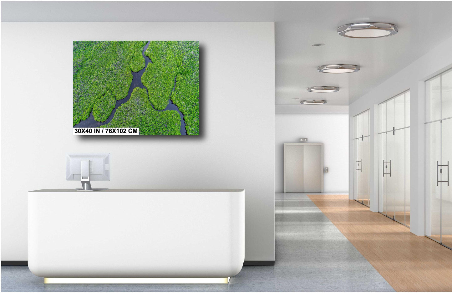 Aerial Mangrove Wall Art - Nature Photography Canvas | Eco-Friendly Tropical Décor