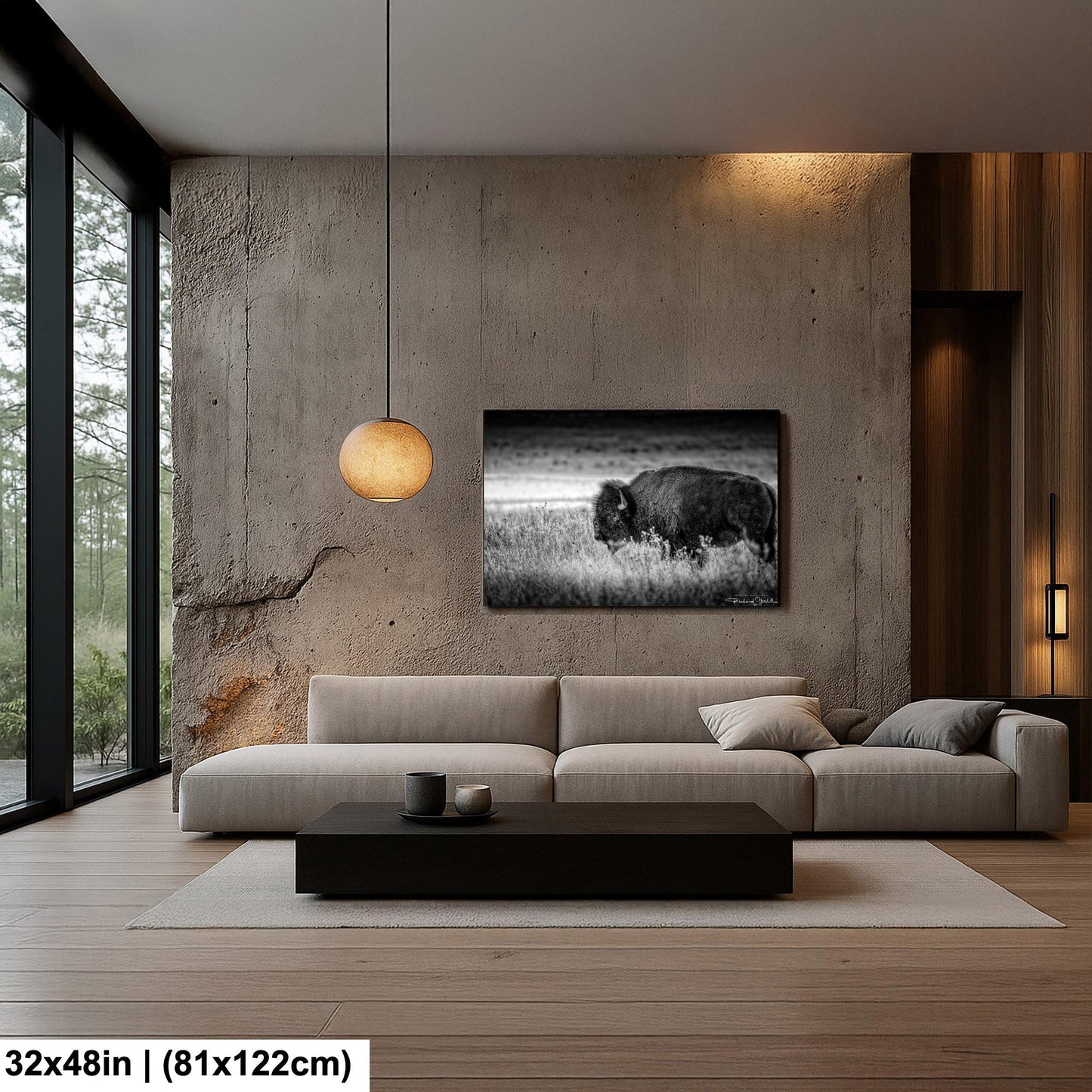 Buffalo Wall Art: Rustic Wildlife Photography - Ready to Hang