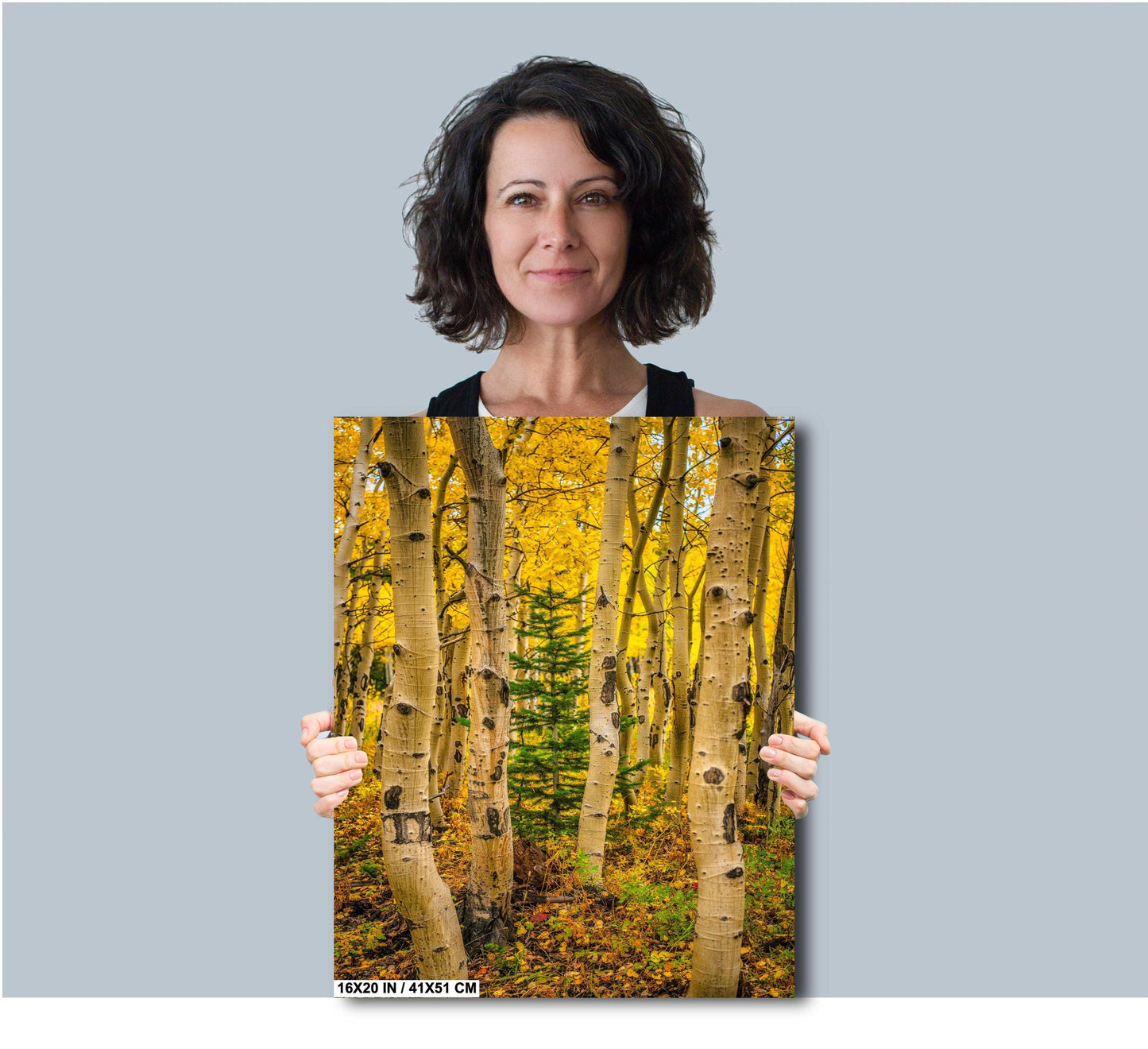 Colorado Aspen Wall Art – Large Autumn Tree Decor with Golden Leaves & Mountain Landscape Print