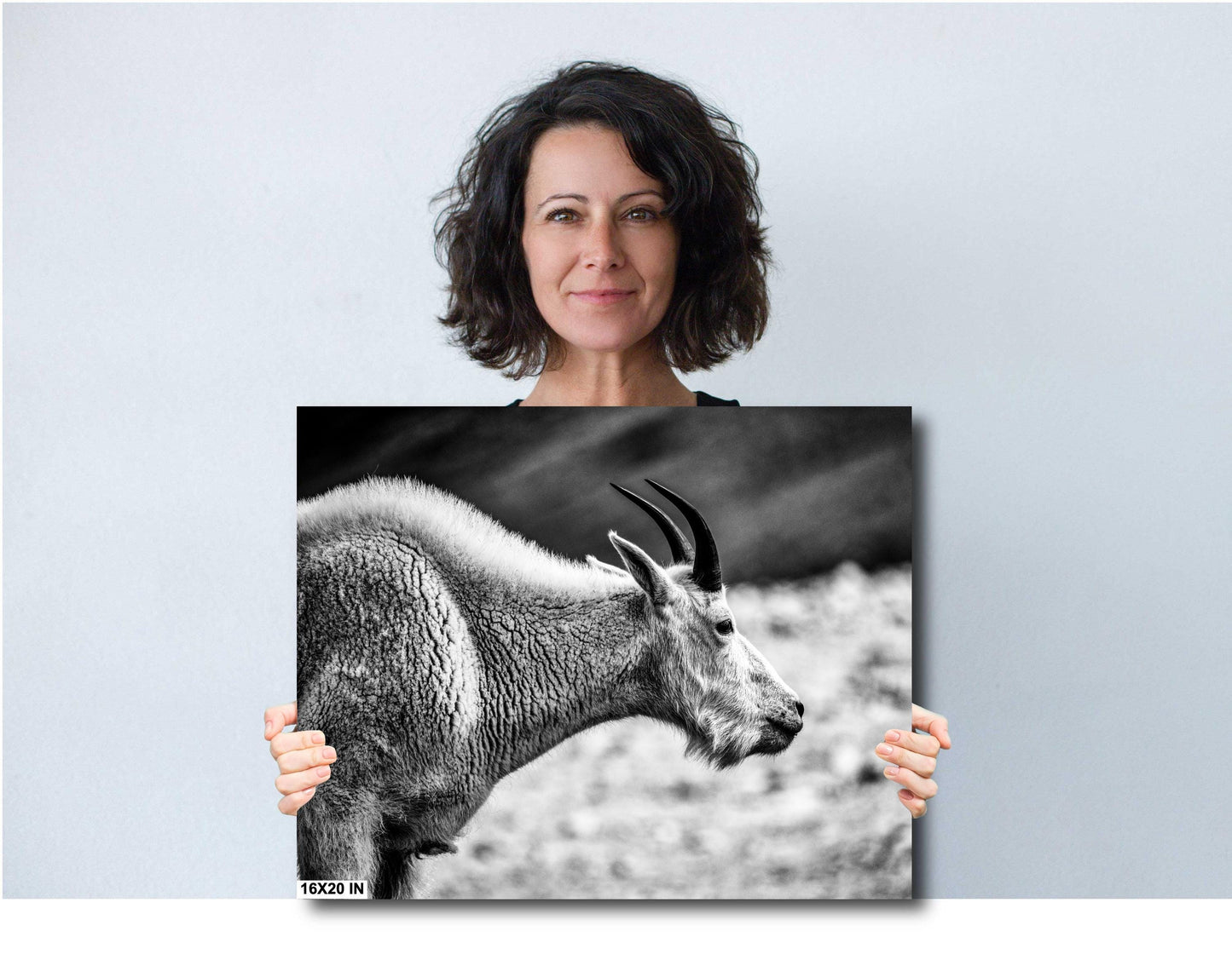 Mountain Goat Wall Art – Rustic Wildlife Photography Print | Black & White Decor