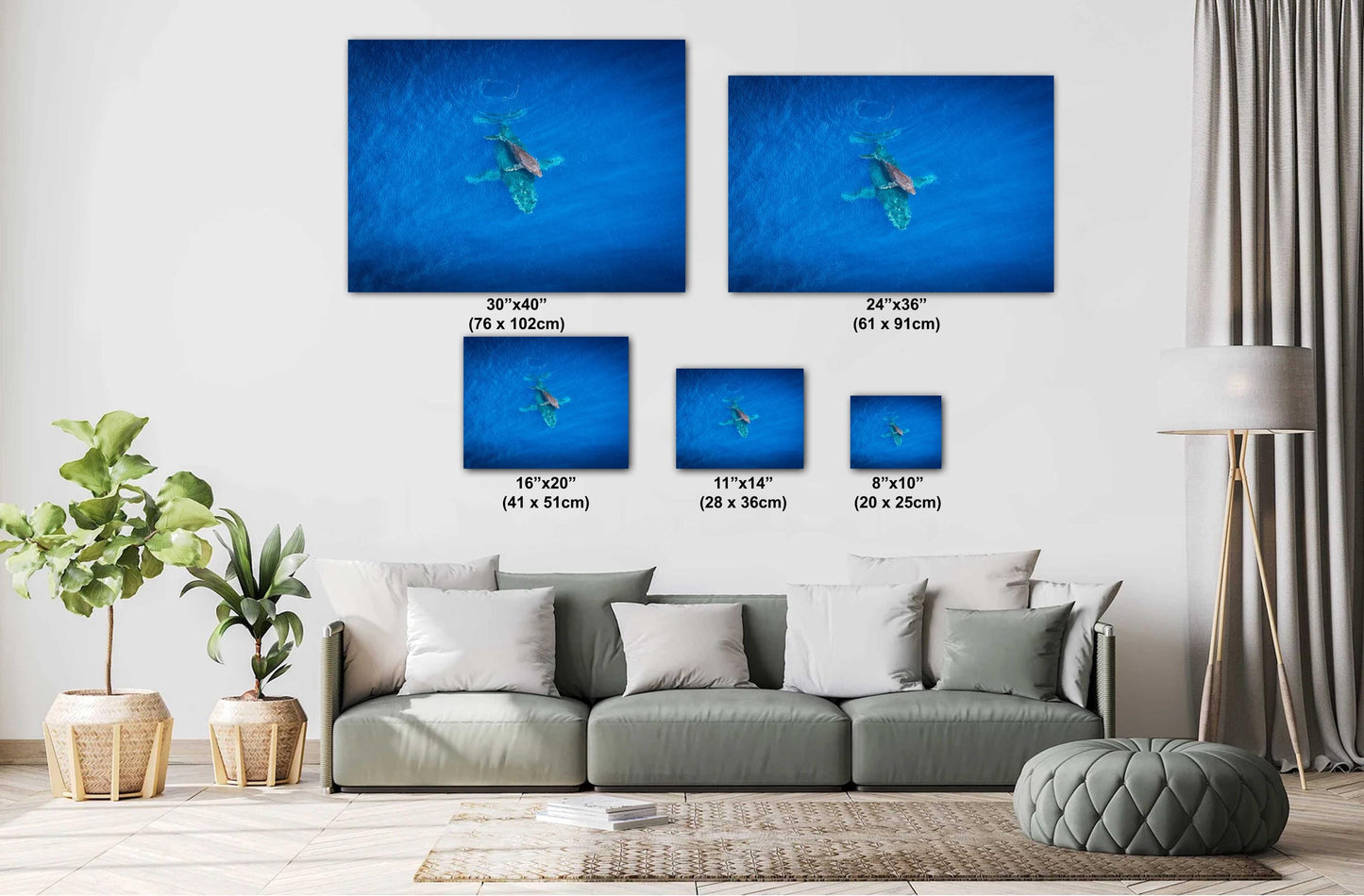 Maui Whale Wall Art | Hawaiian Whale Art – Coastal Home Decor Canvas