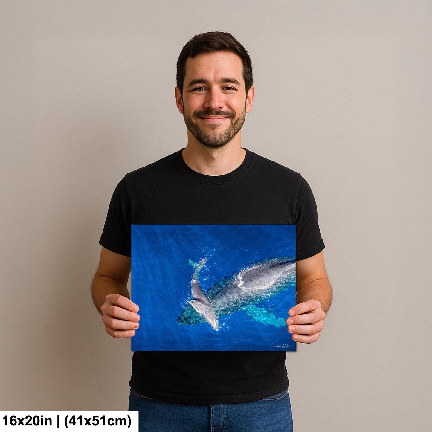 Humpback Whale Wall Art - Ocean Animal Print on Canvas, Metal, or Acrylic