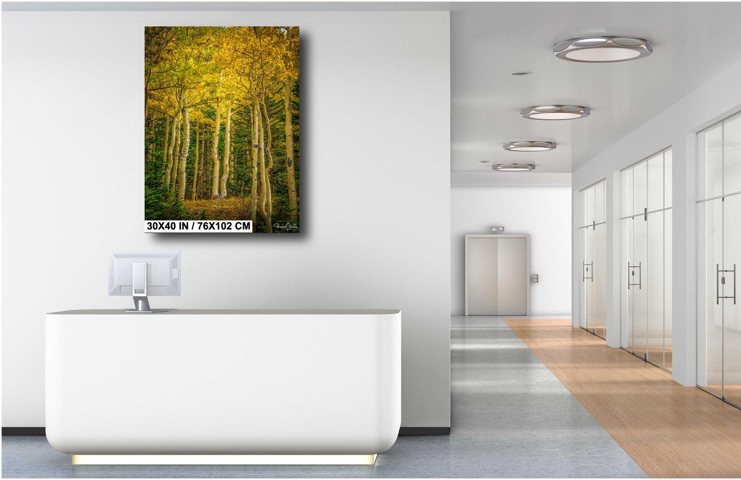 Colorado Aspen Wall Art – Large Autumn Tree Decor | Fine Art Metal Print