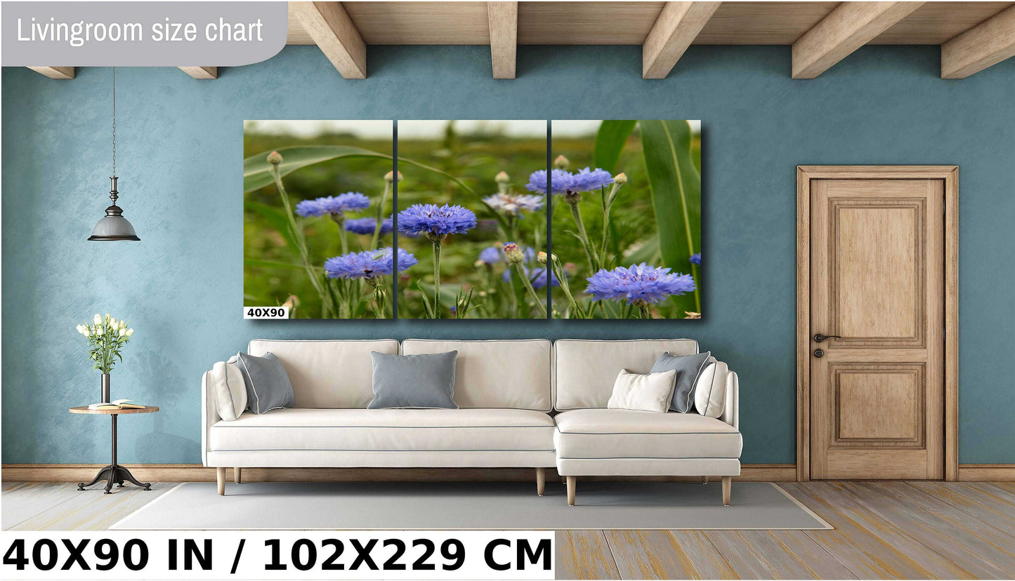 Colorado Wildflower Photo - Vivid Color Photograph | Ready to Hang Canvas & Metal Print