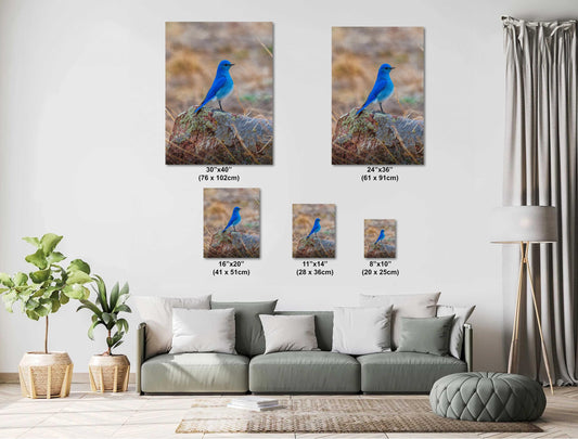 Mountain Blue Bird Art – Colorful Bird Print | Serene Landscape Artwork Decor
