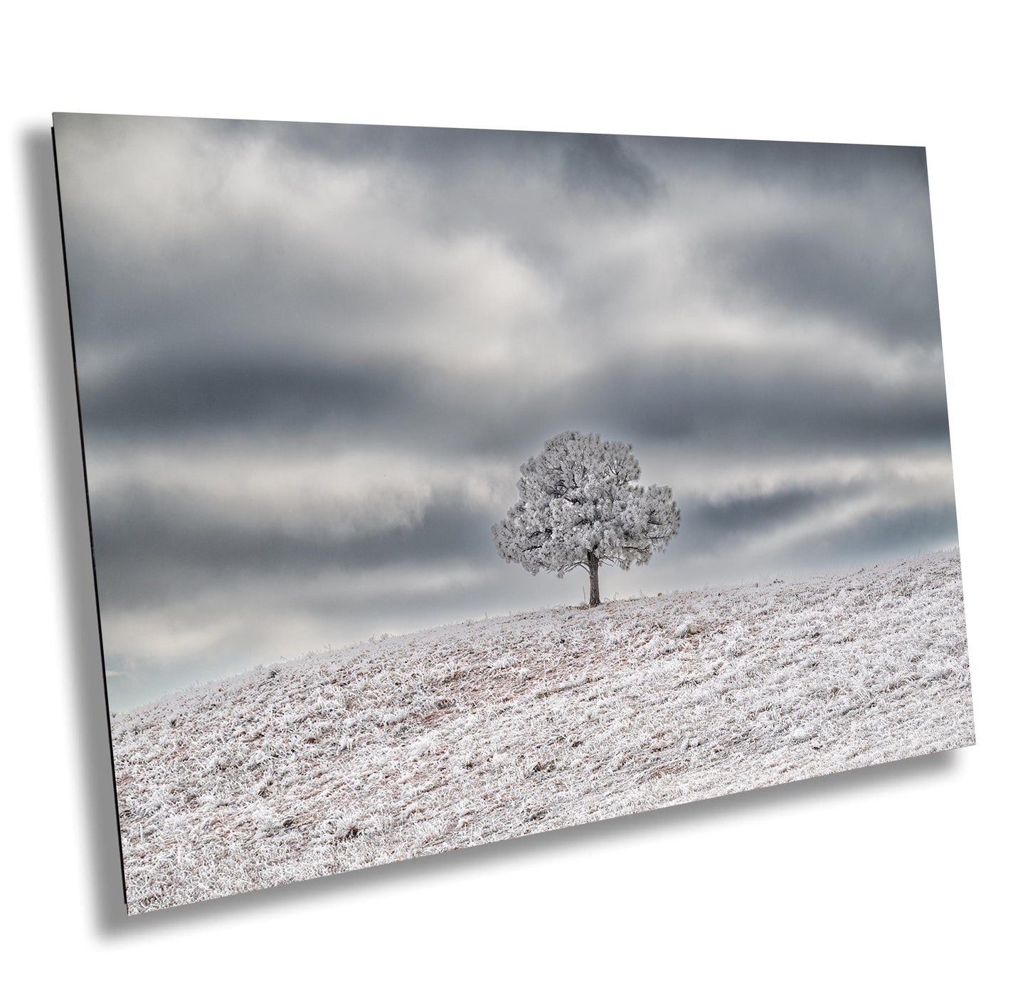Winter Landscape Wall Art - Large Scenic Winter Print | Dramatic Nature Art Decor