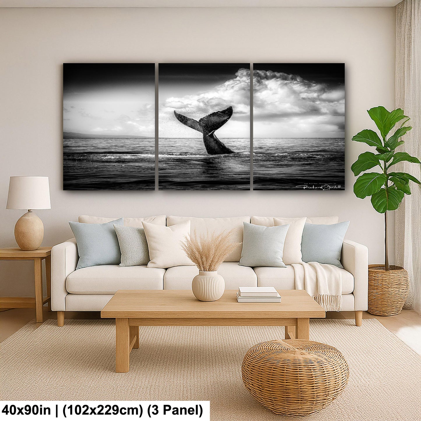 Humpback Whale Wall Art – Ocean Photo Print | Ready to Hang Canvas Decor