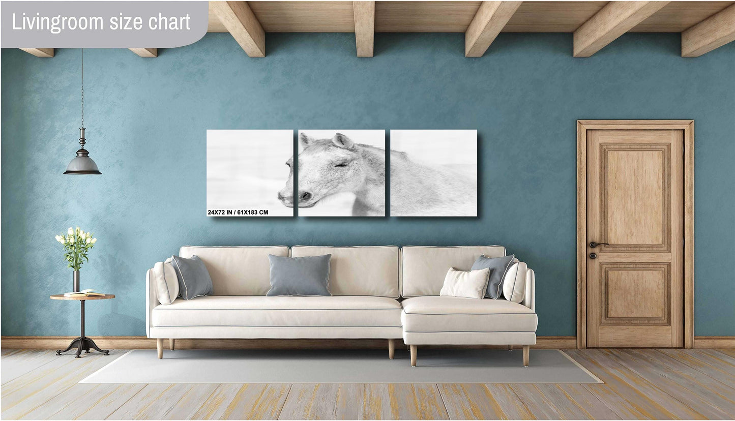 White Horse Wall Art – Serene Equine Wall Decor on Canvas, Metal & Acrylic Prints