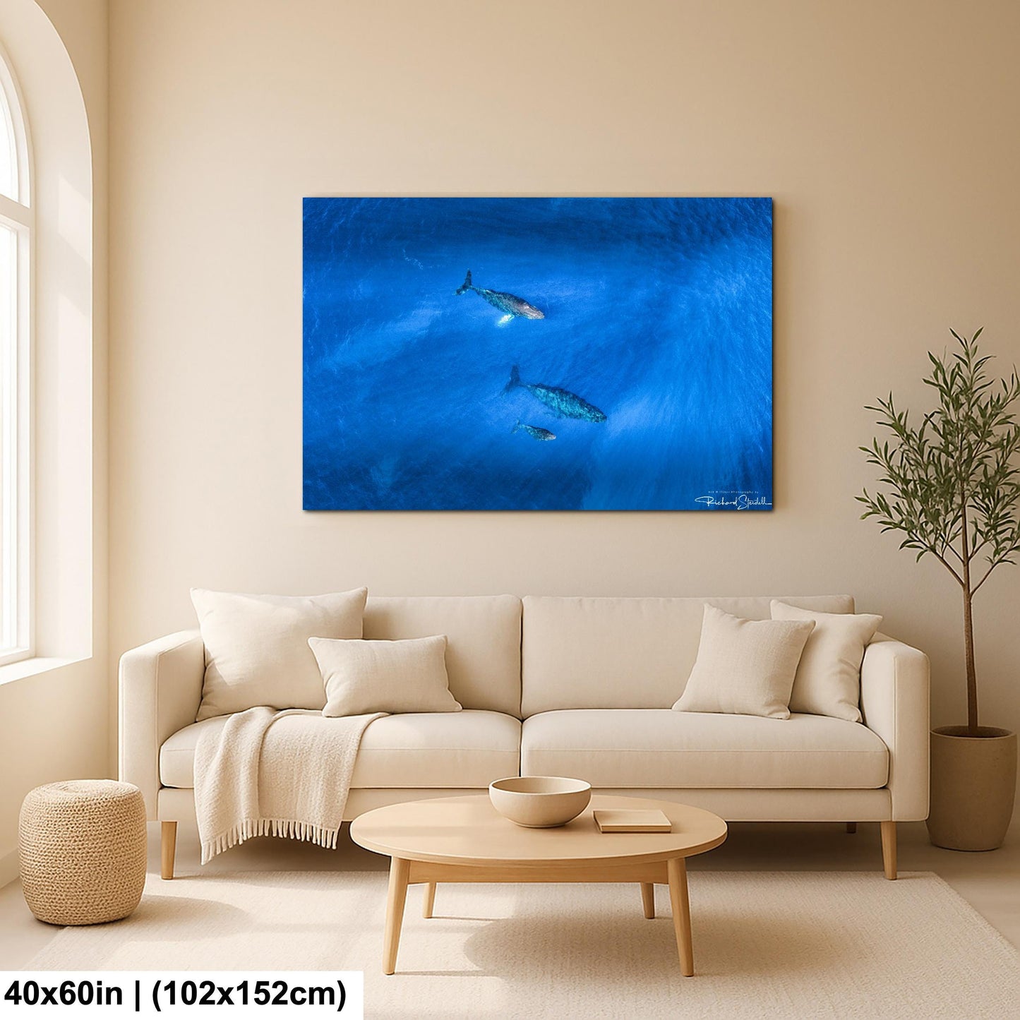 Humpback Whale Wall Art, Ocean Animal Print (Canvas, Metal, or Acrylic)