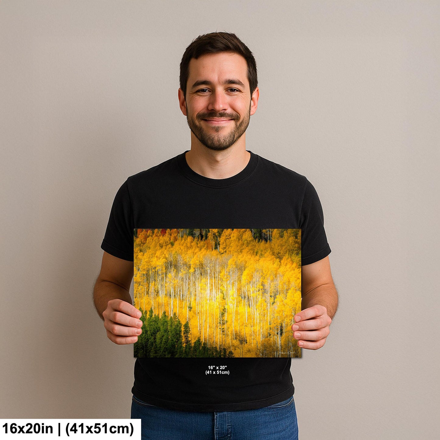 Colorado Aspen Tree Print - Rustic Autumn Mountain Wall Art with Yellow Aspen Leaves