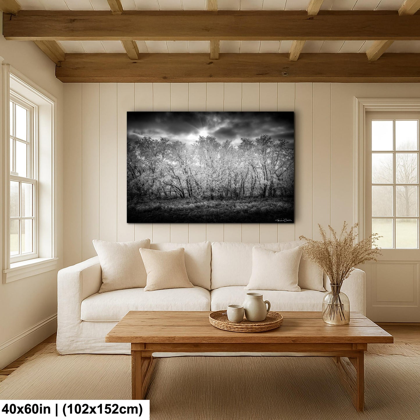 Rocky Mountain Landscape Print: Winter Nature Scene (Canvas or Metal)